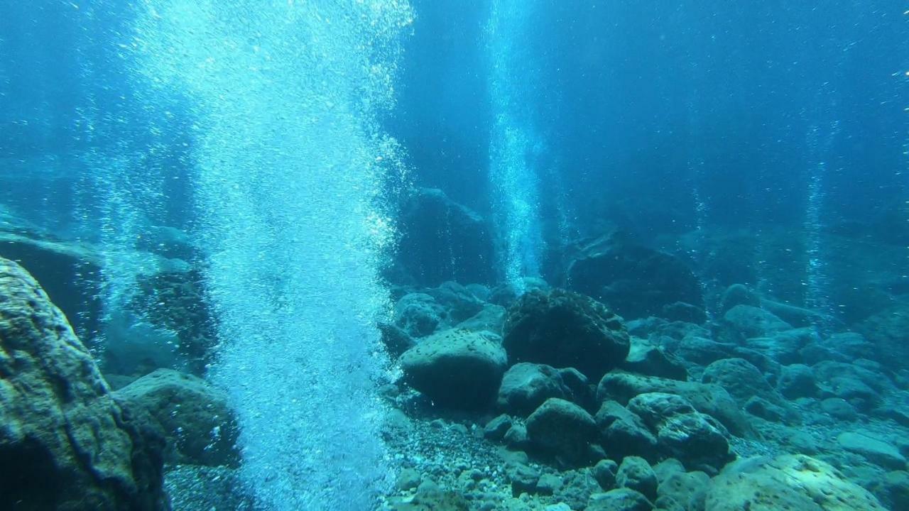 فيلا La Ginestra بانايا المظهر الخارجي الصورة